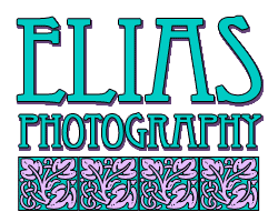 Whimsical Elias Banner